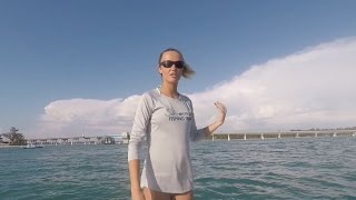 How To Catch Blue Crabs And Pass Crabs In Florida (for Tarpon & Permit)