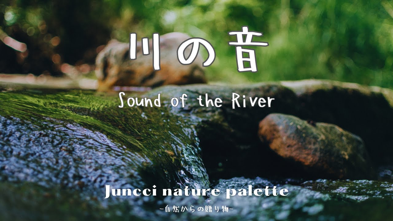 【川の音】小川のせせらぎの音｜癒し・リラックスBGM｜勉強中や作業用のBGM｜自然の風景｜環境音｜Sound of the River ...