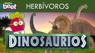 Ejemplos de Dinosaurios herbívoros