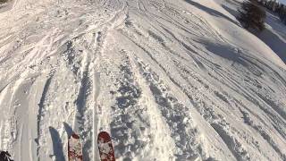 Vars Foret