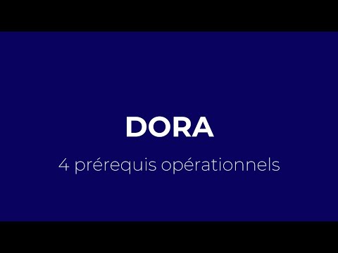 WEBINAR DORA 4