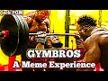 GYMBROS - A Meme Experience