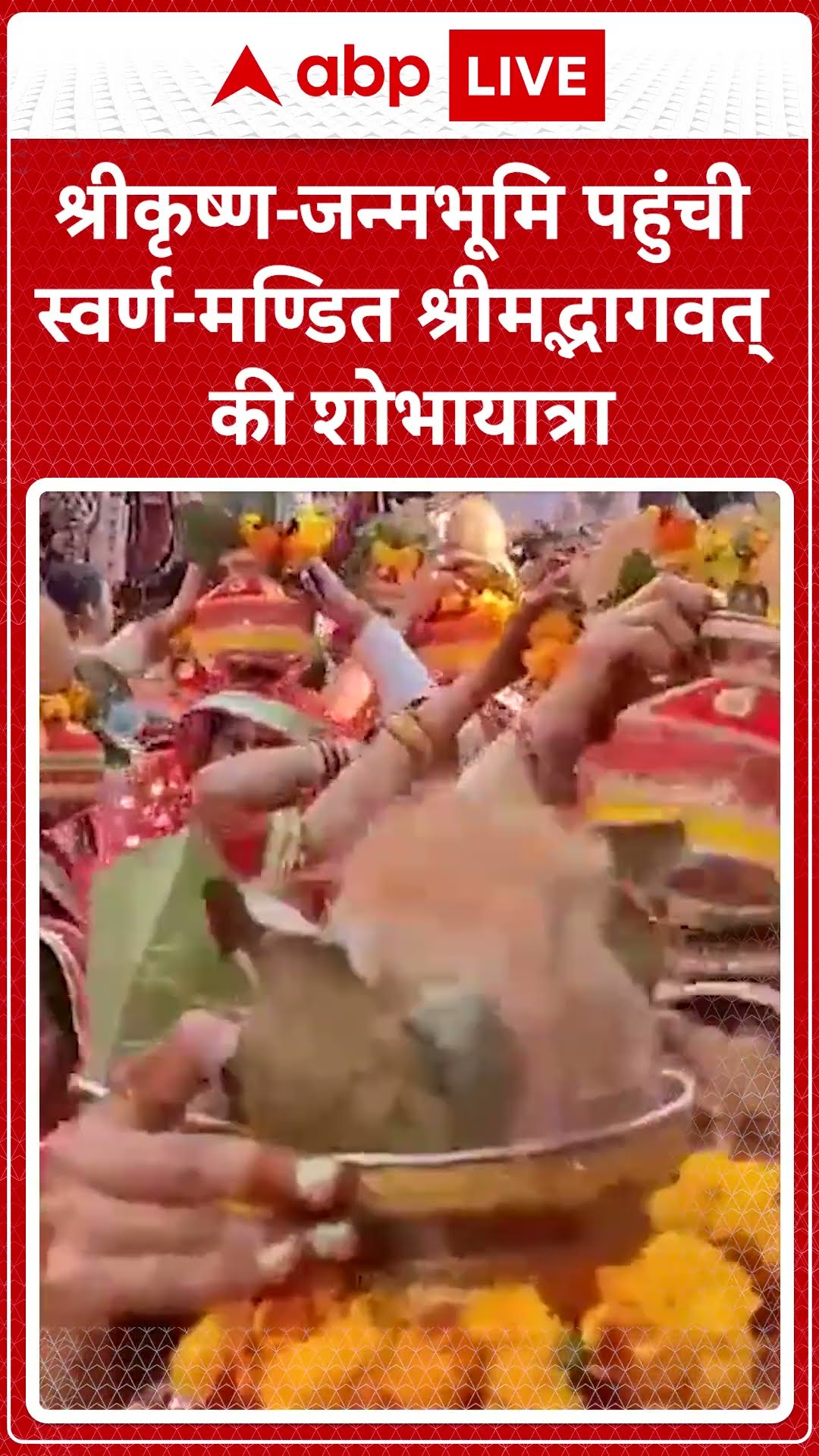 Mathura News: Yamuna से Sri Krishna जन्मस्थान तक स्वर्ण श्रीमद्भागवत शोभायात्रा का आयोजन किया गया