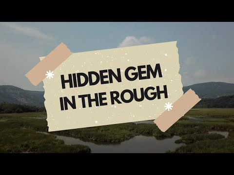 A HIDDEN GEM IN THE ROUGH?? - Indian Brook Falls & Constitution Marsh