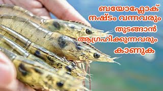 ബയോഫ്ലോക് ചെയ്തു തോറ്റവരും ചെയ്യാൻ ആഗ്രഹിക്കുന്നവരും കാണേണ്ട വീഡിയോ