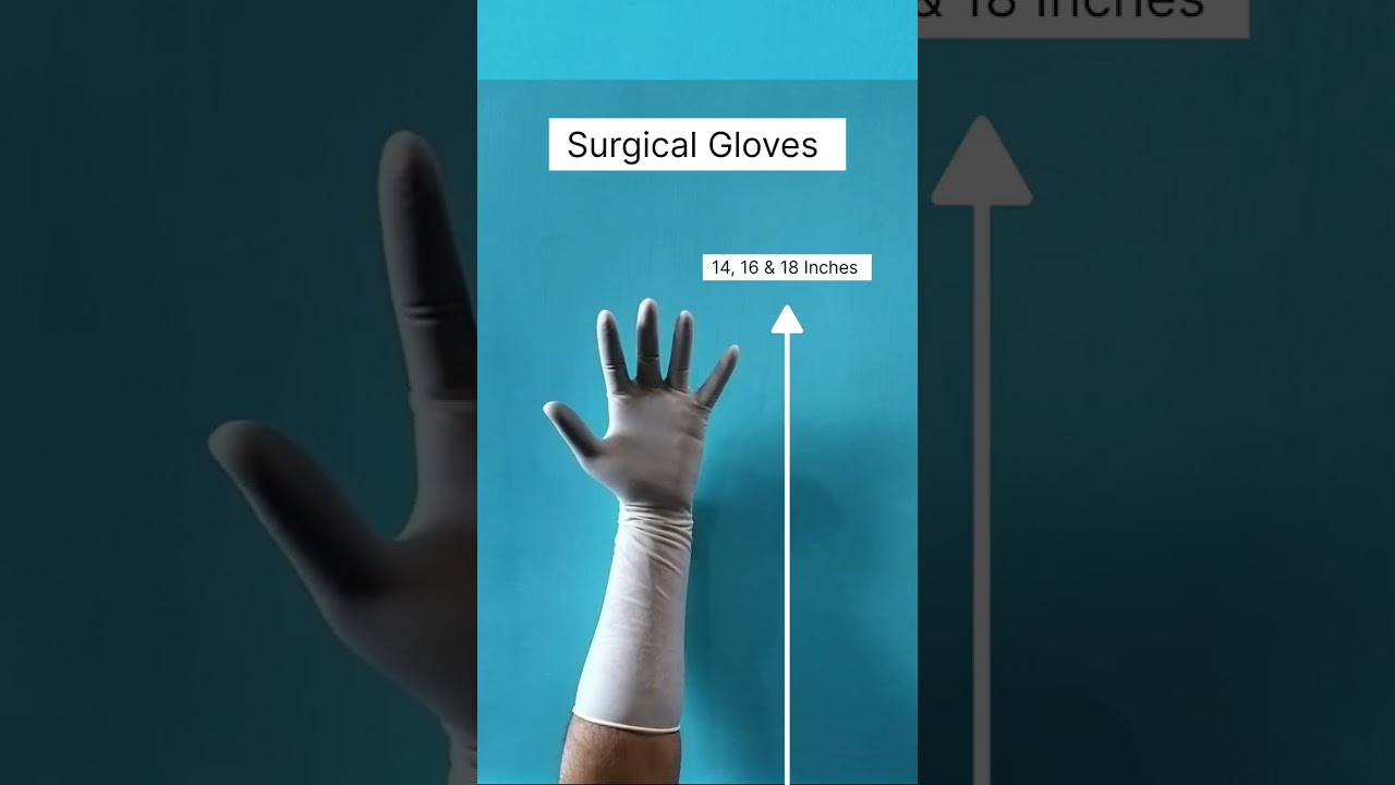 HYGIENE CIRCLE EXAMINATION VS SURGICAL GLOVES (Good For You Brand)