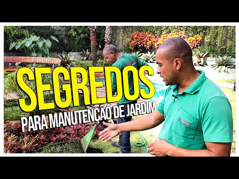 Vídeo: A limpeza do jardim: dicas para limpar o jardim para o inverno