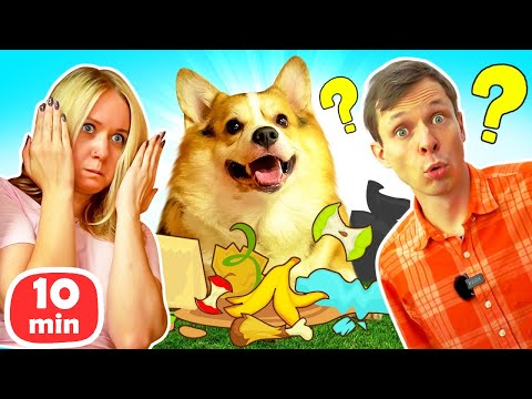 Весёлые игры с корги Альфом! Смешное видео для детей
