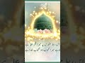 #youtube #youtubevideo #youtubeshorts #rasoolallah #viralvideo #islamicvideo #islam #beautiful
