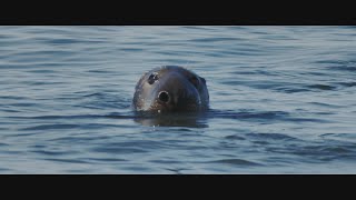 Discover Matsalu National Park In Estonia