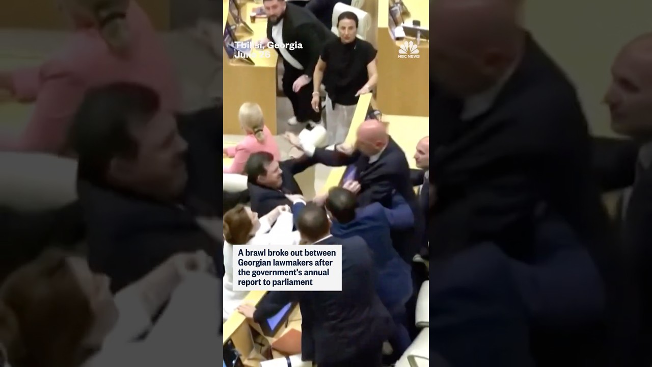 Punches thrown as Georgia lawmakers brawl in parliament