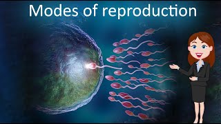 Modes of reproduction || 3D animated explanation || class 10th || Control and Coordination ||