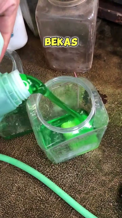 Every day there are definitely betta fish that die!!