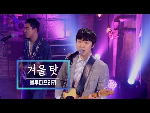 KBS 콘서트 문화창고 34회 블루파프리카 - 겨울 탓