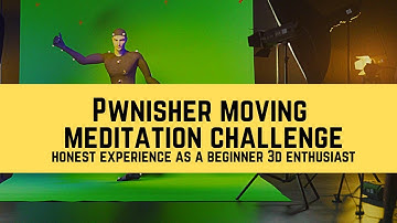 Can a Beginner Succeed? | My Raw Experience with Pwnisher