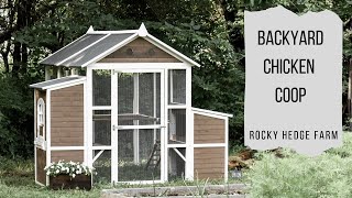 backyard chicken coop youtube 3