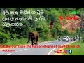 දඹුල්ල  බකමුන මර්ගය‌  අලි මිනිස් ගැටුම  / Elephant-human clash on Dambulla Bakamuna road