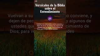 ✞ Que dice la biblia sobre el Entendimiento #shorts #short #labiblia #biblia #versiculos #RVR1960