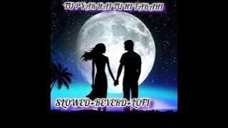 tu pyar hai tu hi tabahi (lofi)