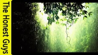 Relaxation Music - 1 Hour Gentle Rain Meditation