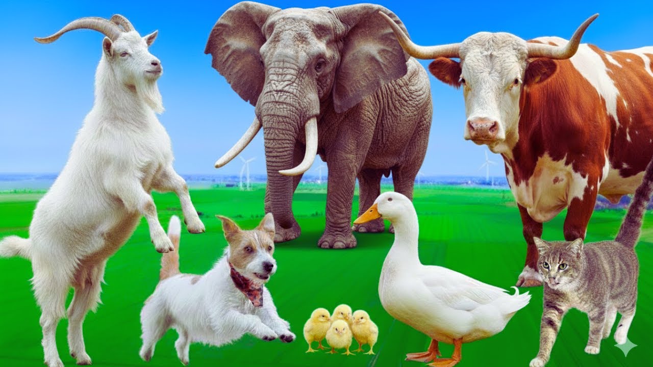 Shy Animal Moments 🐾 | Cow, Horse, Elephant, Duck, Alpaca, Tiger & More | Cute Animal Compilation