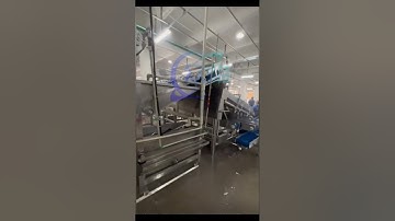 fish grading, fish sizing, fish sorting, fish grader, fish sizer, fish sorter  #fishmachine #seafood