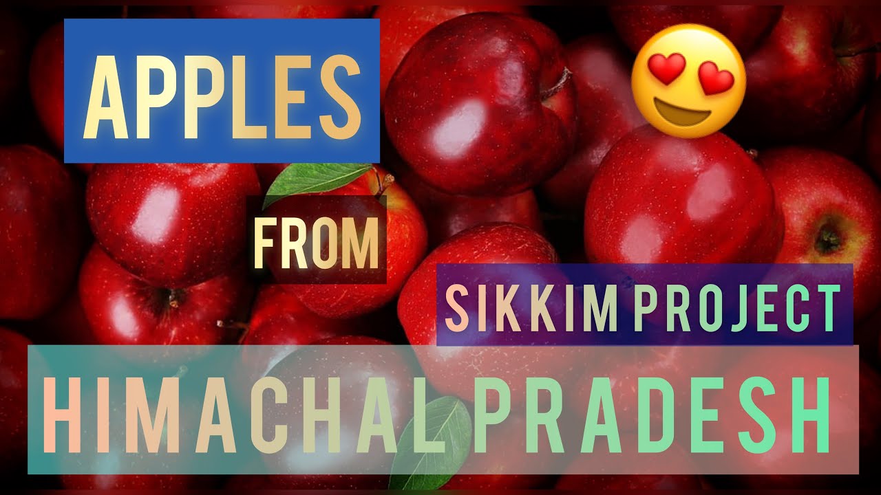 case study on apples from himachal pradesh ppt