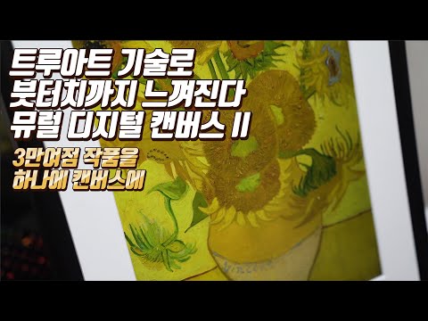 트루아트