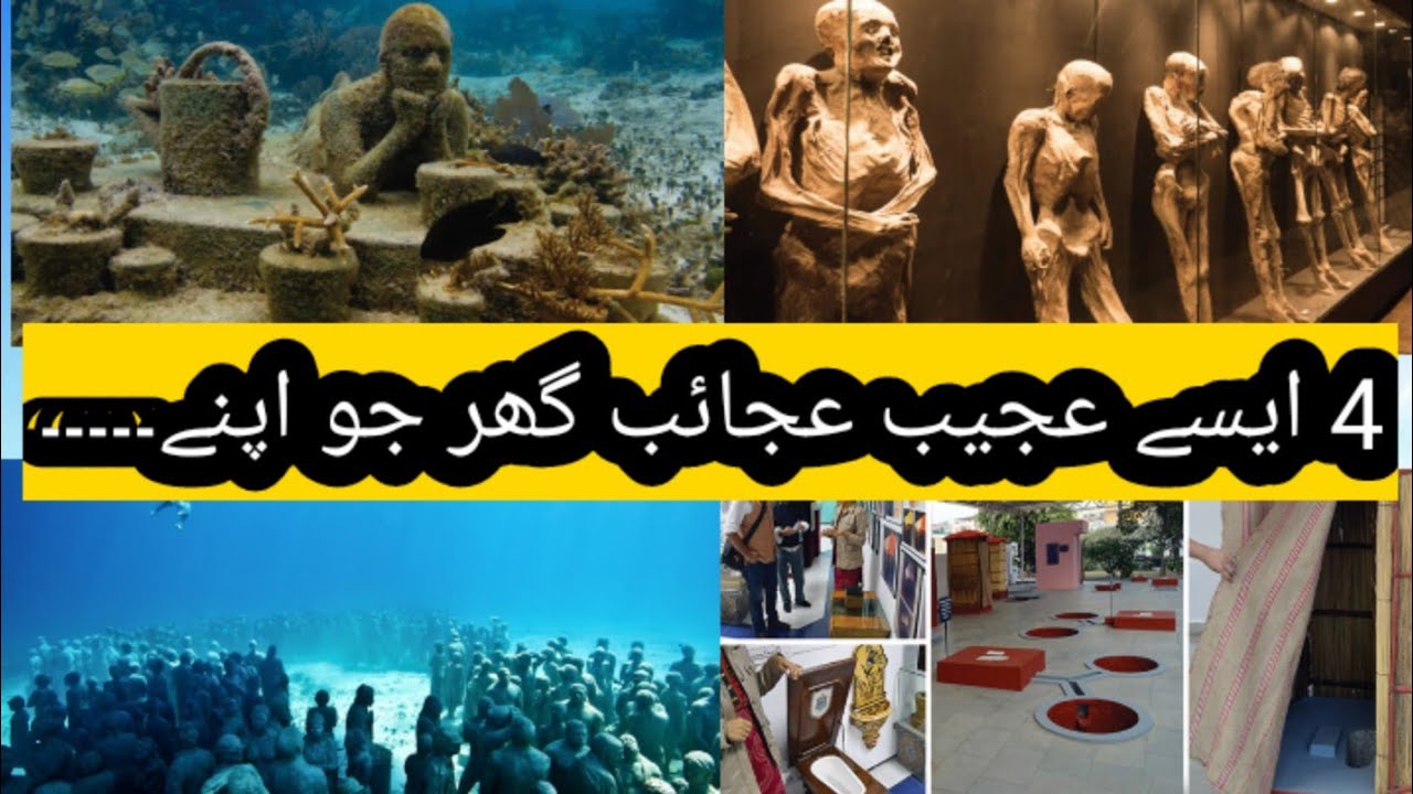 Some Strange Museum in the world 