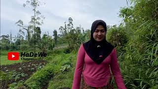 4tahun Menjandajanda Desa Cantik Neng Ai Rela Menjanda Demi Keluarga