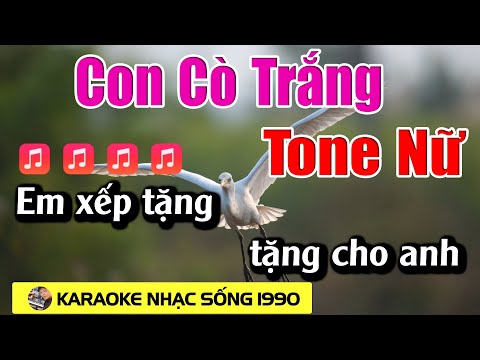 Con Cò Trắng Karaoke Tone Nữ Karaoke 1990 - Beat Mới