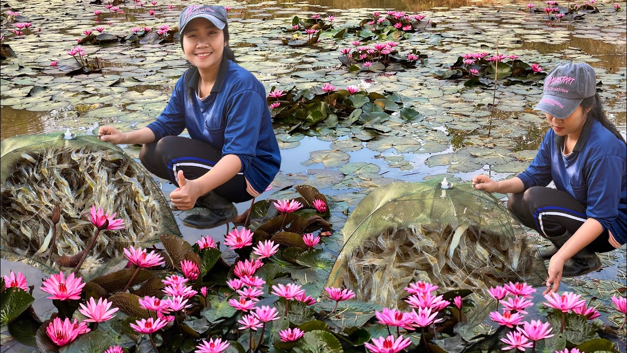 !!ดักกุ้งขาวกุ้งฝอย!!ตัวสวยๆเข้ามุ้งทุกหลัง พร้อมชมบรรยากาศจ้า