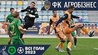 ФК АГРОБІЗНЕС-2023. Всі голи у Першій лізі та Кубку України