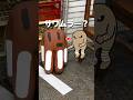 これ何に見える？w #shorts #めっちゃカメレオン