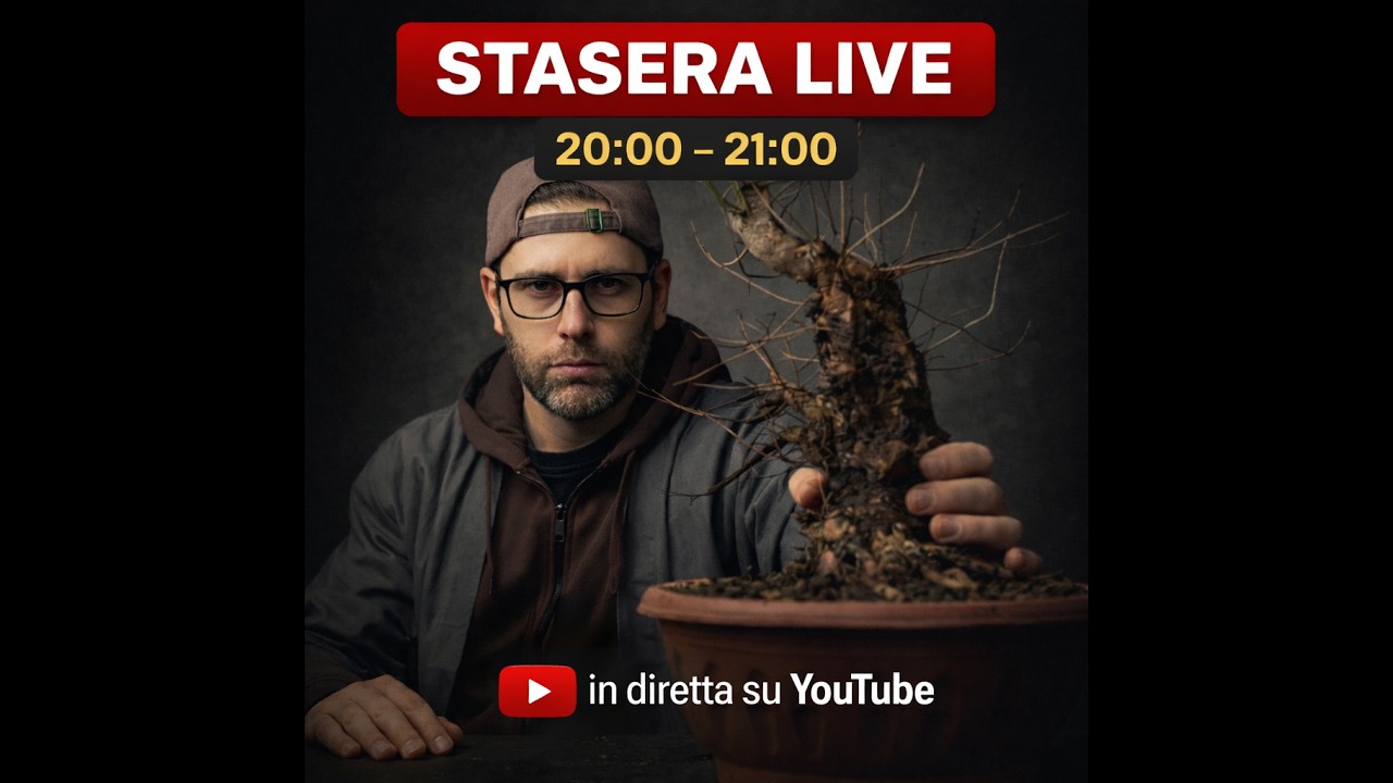 CLAUDIO BONSAI LIVE: impostazione primaria olmo, consigli in diretta