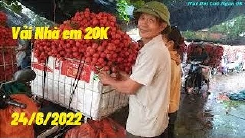 Vải Nhà Em Bán 20K Thôi Của Các Bác Bao Nhiêu I Núi Đồi Lục Ngạn