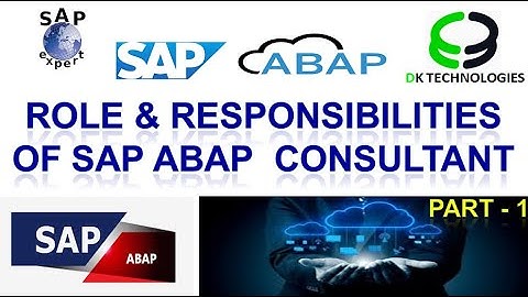 SAP ABAP | Role and Responsibilities of SAP ABAP Consultant VIDEO -1 | SAP ABAP | DK TECHNOLOGIES