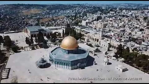 The FIG tree generation