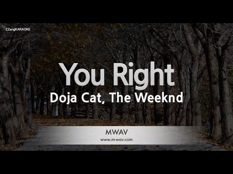 Doja <strong>Cat</strong>, The Weeknd-You Right (<strong>Melody</strong>) [ZZang KARAOKE]