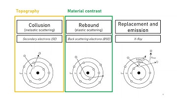 SEM: Secondary + Backscattered Electrons & X-rays