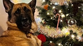 Vlogmas day 12. Update