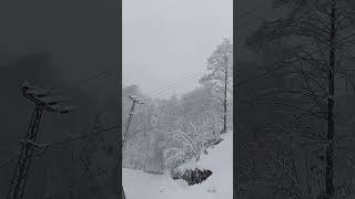 Al Mendilim Dalda Kaldı