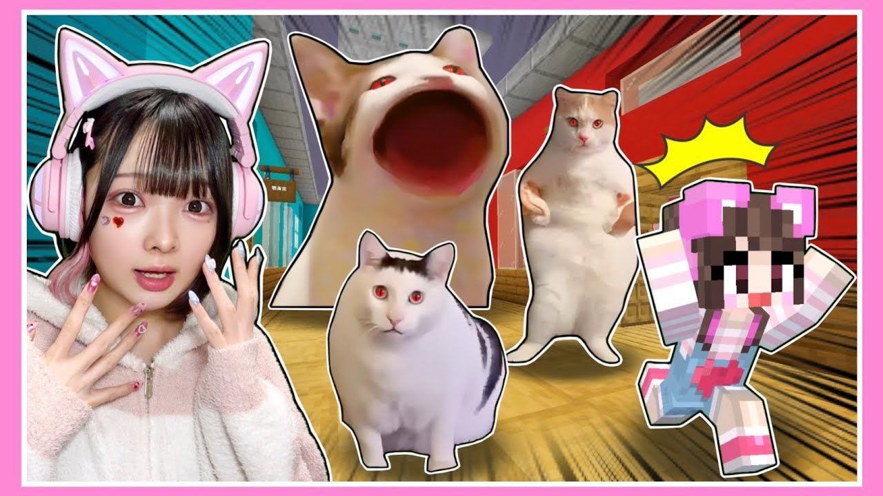 幼稚園で『狂暴化したネコミーム』が襲ってくるマインクラフト😾👿！？【マイクラ / マインクラフト / Minecraft】【たまちゃん】