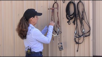 Myler 3-Ring Combination Bit: Unpacking and Assembling with a Western Headstall