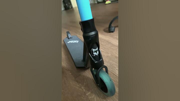 Bro, my pro scooter looks so cool