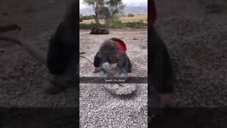 Kids helping out                            #funny #trending #shovel #kids #workhard