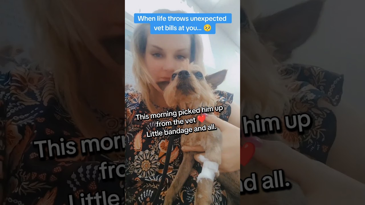 When life throws lemons... 