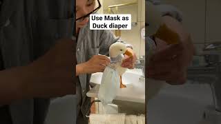 Use Mask as duck diaper