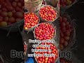 #tomatoes #tomato #soup #stew #localmarket #fypシ #viral #cook #cookingshorts #food #fruit #usashorts