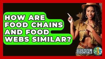 How Are Food Chains And Food Webs Similar? - Ecosystem Essentials
